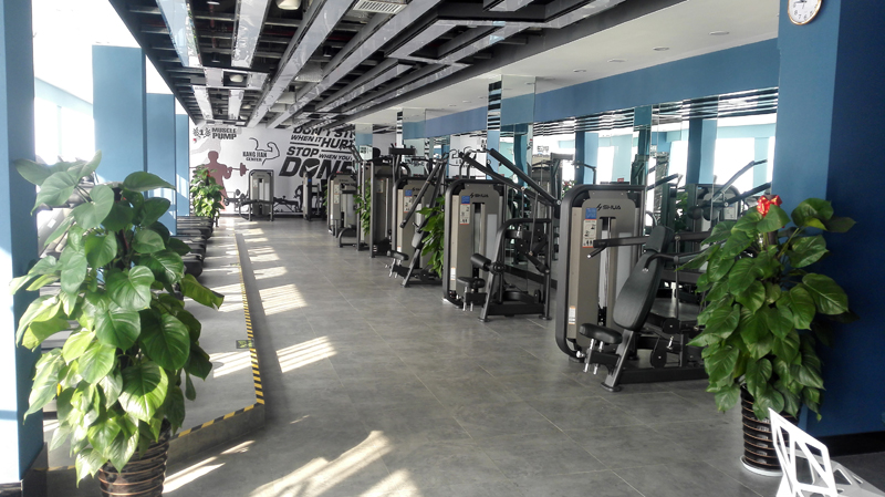 酒店健身房器材,高端健身房器材,室内健身器材-广西KS娱乐体育体育健身器材有限公司