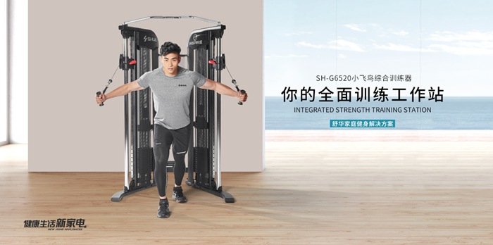 KS娱乐体育健身器材-小飞鸟综合训练器SH-G6520